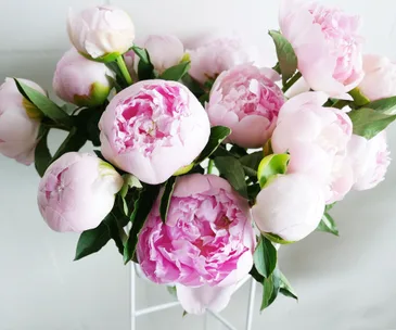 peonies, The Botanist, pink peonies