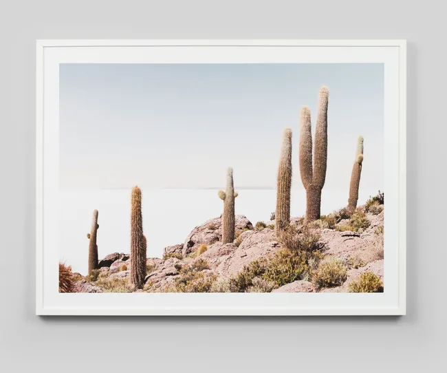 Framed Print Cactus View
