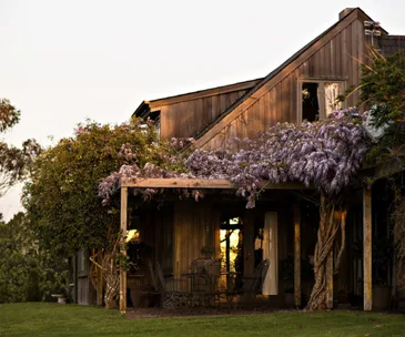 The magical Kiwi Christmas in a Whitford farmhouse