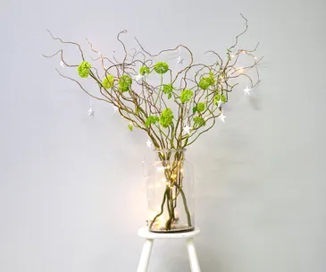 Not your average Christmas trees