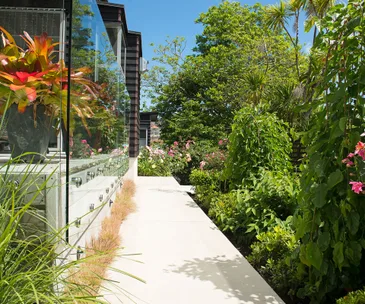 An enviable courtyard garden in Auckland’s Mission Bay