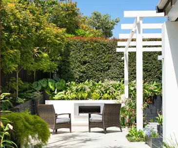 Planting in this Mission Bay, Auckland, garden is in full bloom