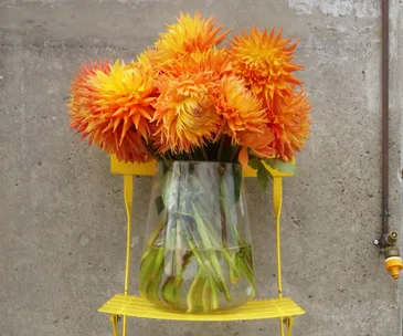 Floral Fridays: dreamy dahlias