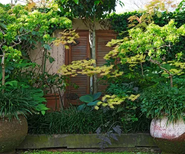 Shop profile: The Birdcage