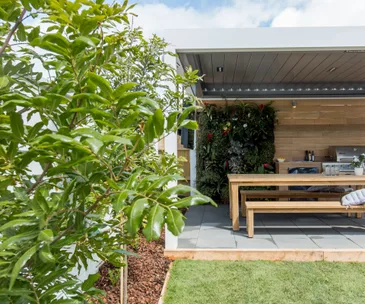 How to create shade in the garden