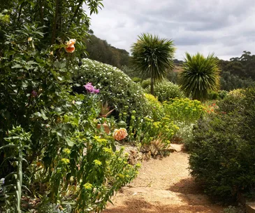 How to keep your garden cool and your water bill under control