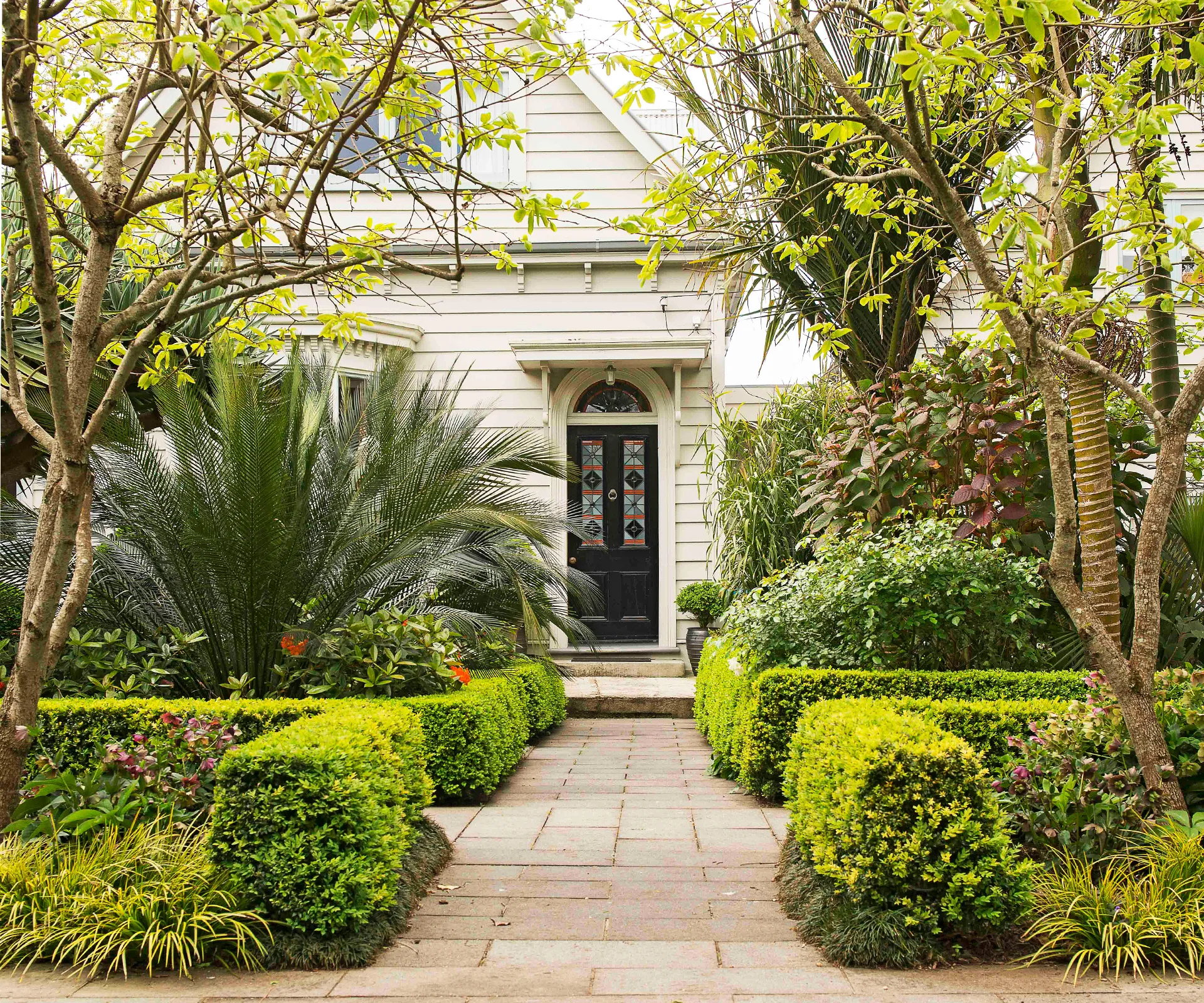 Step into a beautifully designed Auckland garden