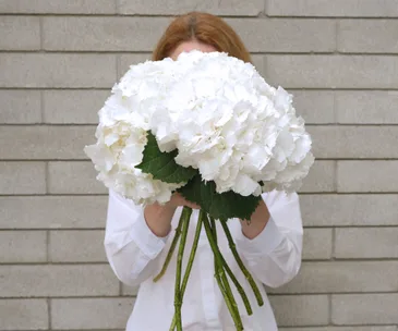 How to care for hydrangeas according to The Botanist