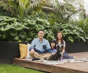 Screening plants create a private oasis in this subdivision