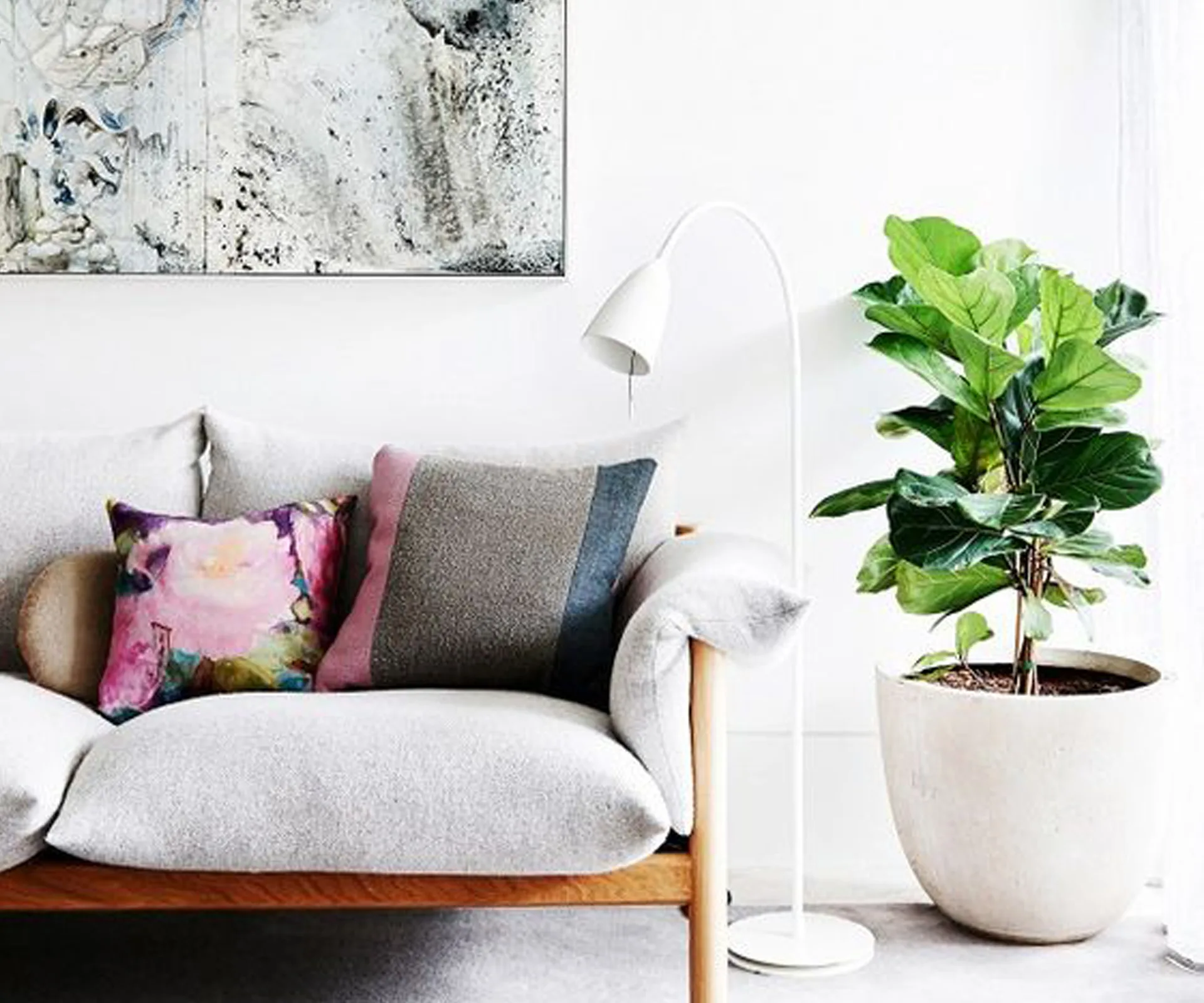 5 reasons why your fiddle leaf fig might be dying