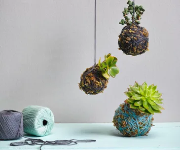 Four projects with yarn