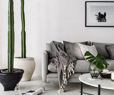 This rundown Dunedin house became a family reno project