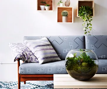 An interior trend all nature lovers should try