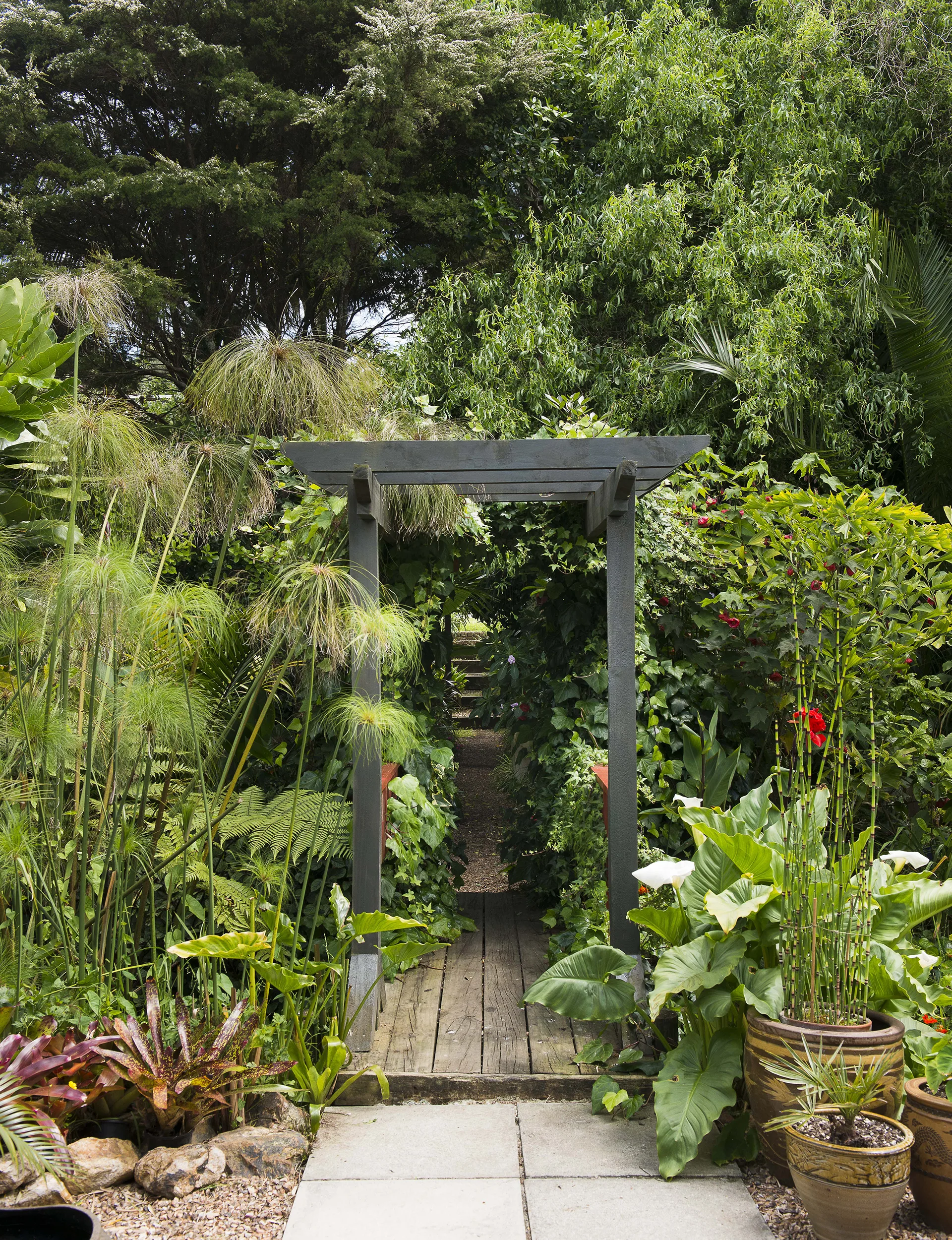 A small bridge crosses the tiny creek, while a variety of secluded seating areas wait to be discovered within the lush vegetation.