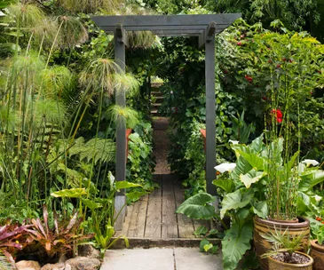 Ideas to steal from a lush palm-filled garden