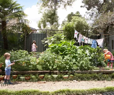 What to harvest, plant and sow in the garden in April