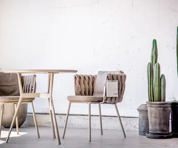 How to make interiors look more lively with indoor plants