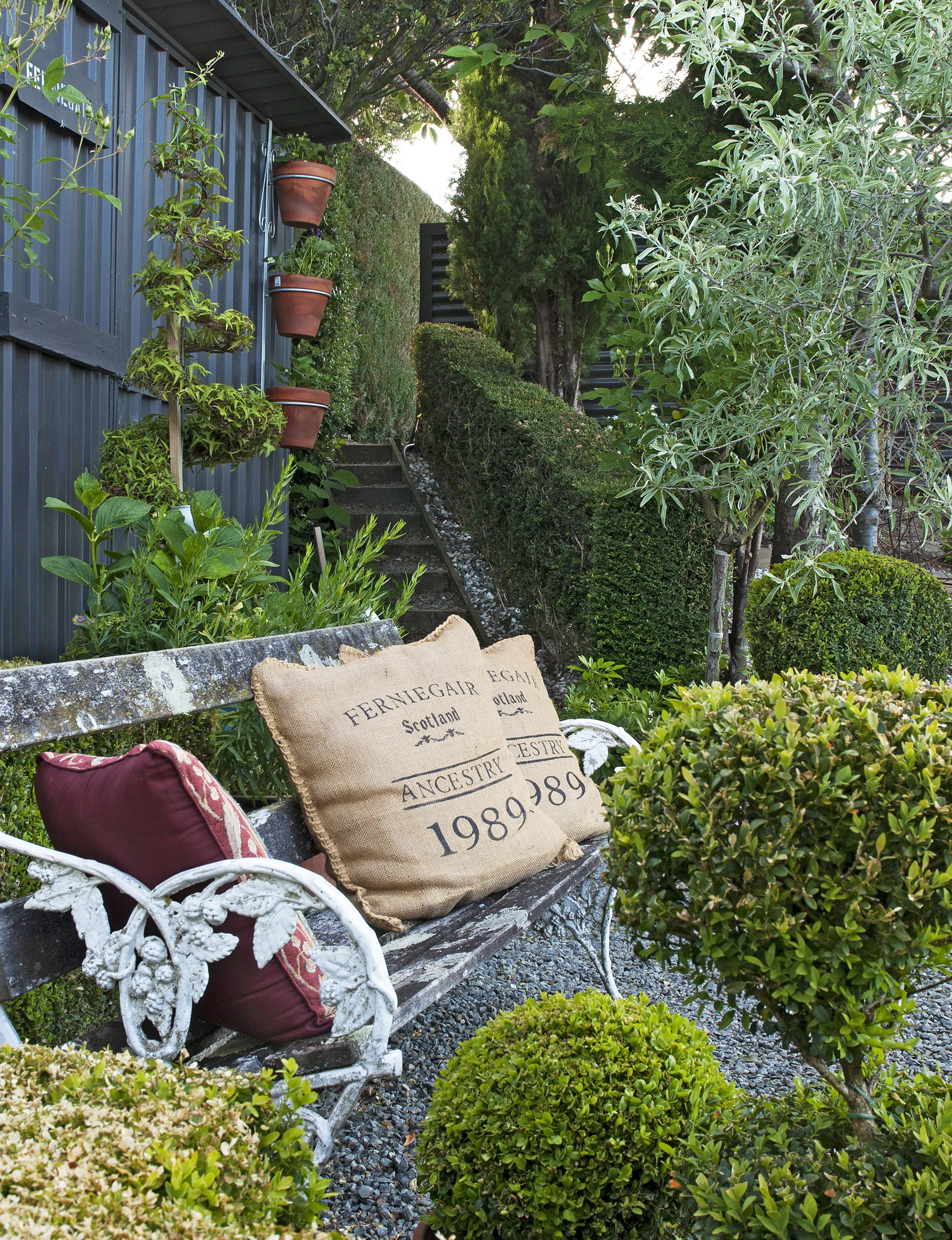 A beautiful old bench seat surrounded by clipped topiary and a weeping pear provides a place to pause in the back garden. 