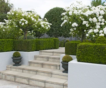 A structured and semi-formal garden in Blenheim