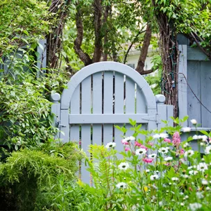 Kick start your winter gardening with these easy tasks