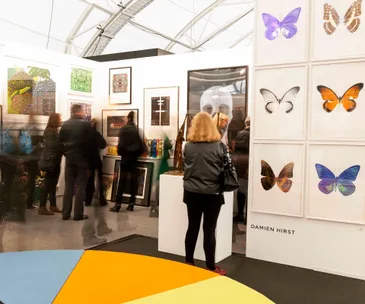 Celebration of art returns to Auckland
