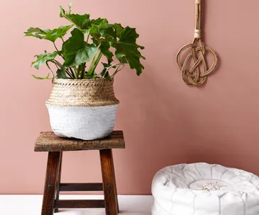 Four ways with baskets