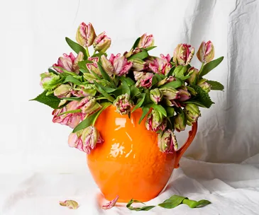 How to arrange parrot tulips