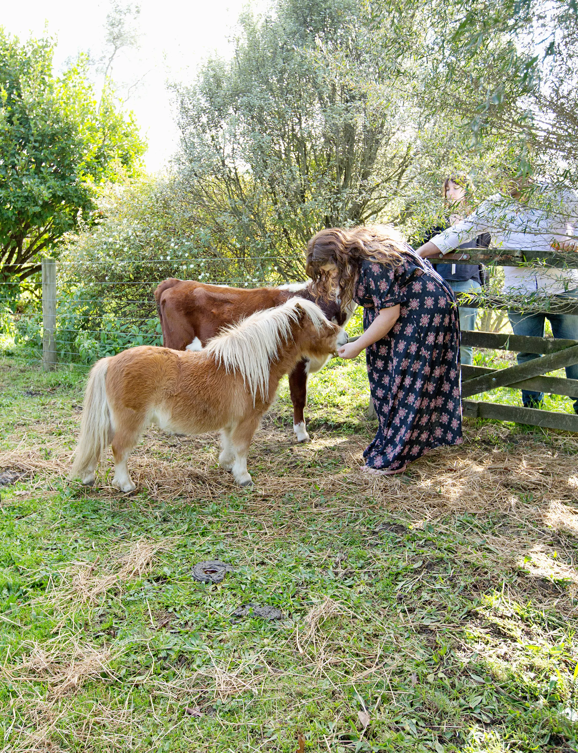 Although it is on the fringes of Auckland and there are neighbours close by, the one-hectare property offers all the charms of country life. Animal-lovers Kim and Isaac keep a flock of about 30 chickens (plus Henny the rooster) and a miniature pony, as well as cats and a rabbit. 
