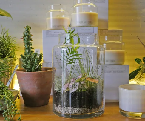 terrarium tutorial