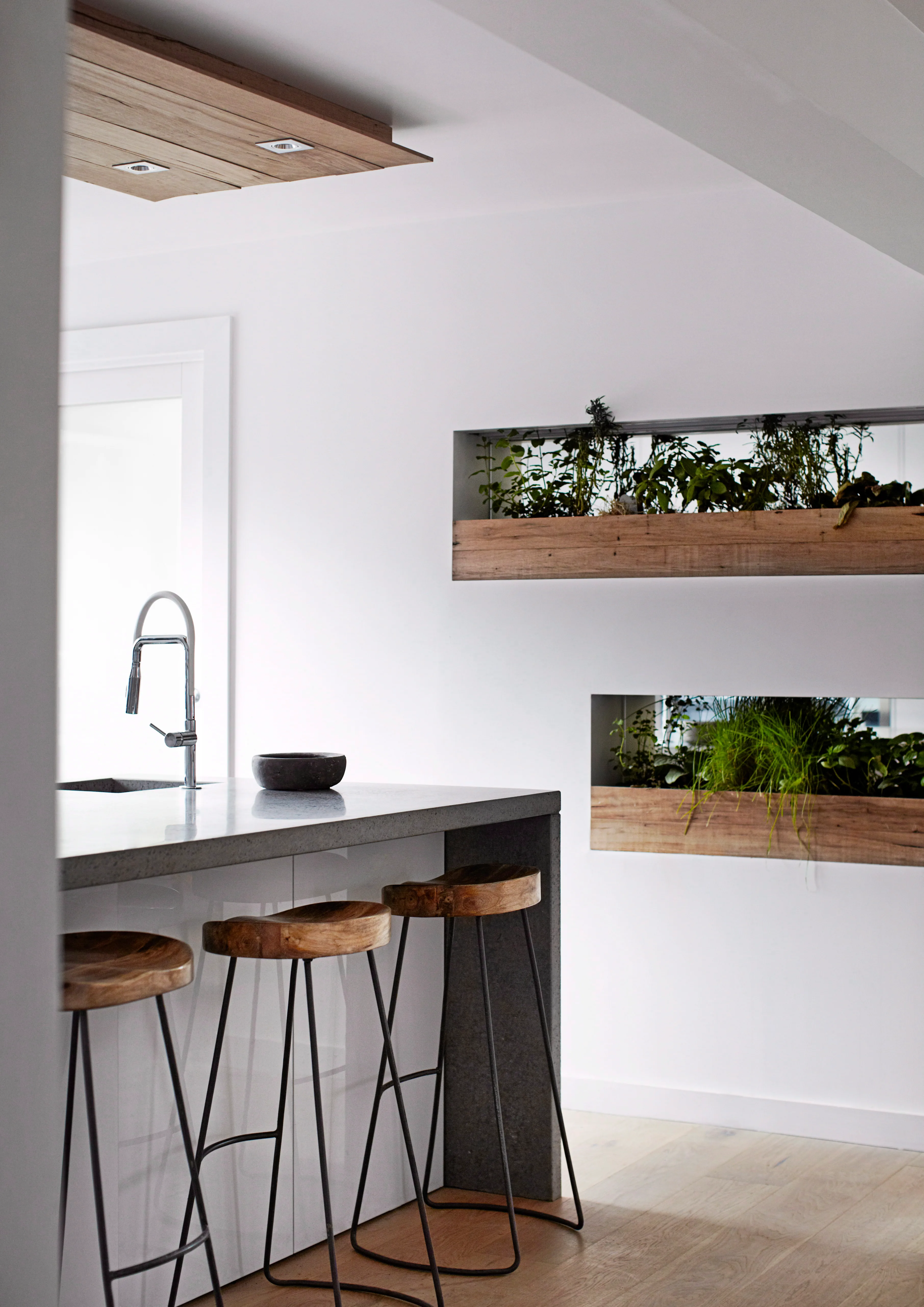 The planters in the kitchen have mirrors behind them to double the foliage effect. The concrete benchtop adds to the earthiness of this space.