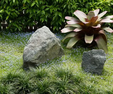 The design for this front garden is just as impressive from the house as the street
