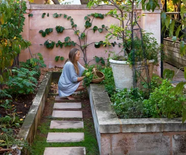 Your August gardening guide: What to sow, harvest and prune