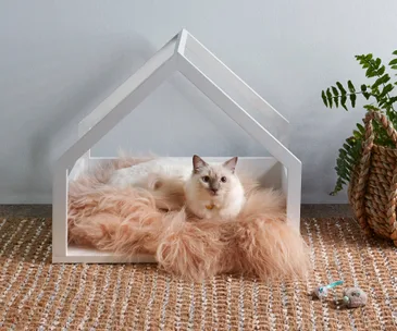 How to make a cute cat bed for your furry friend