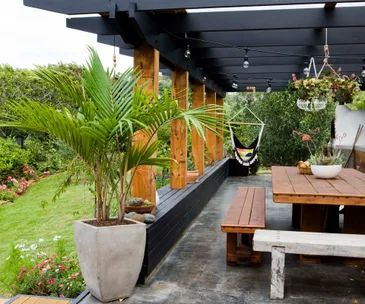 A neglected Wellington backyard becomes a flourishing garden