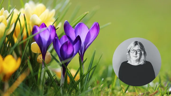 Your August gardening guide: What to sow, harvest and prune