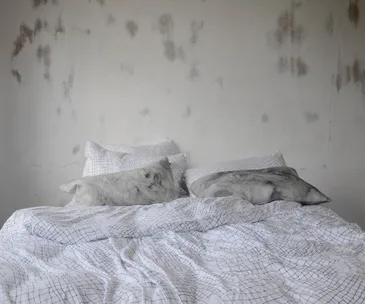 Your Home and Garden art director Tanya Wong’s favourite things