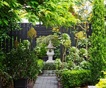 10 expert tips and tricks for eco-friendly gardening