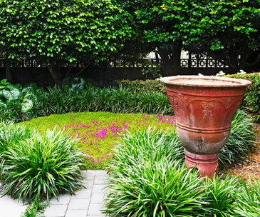 Landscaping inspiration from a structured New Plymouth garden