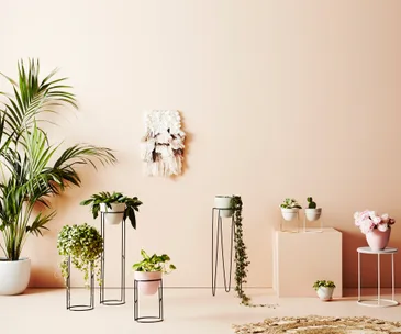 20 reasons to add beautiful botanical homeware to your home