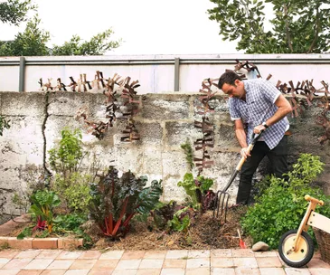What to harvest, plant and sow in the garden in October
