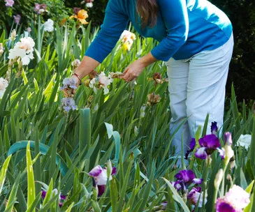 Your October gardening to-do list