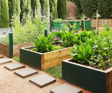 What to harvest, sow and plant in November