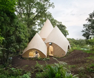 The Japanese forest home that’s enchanted the design world
