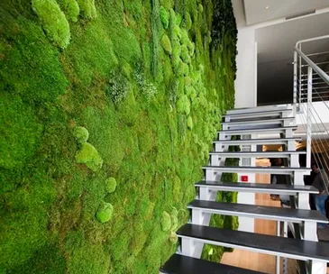 Introducing moss – nature’s trendiest creation