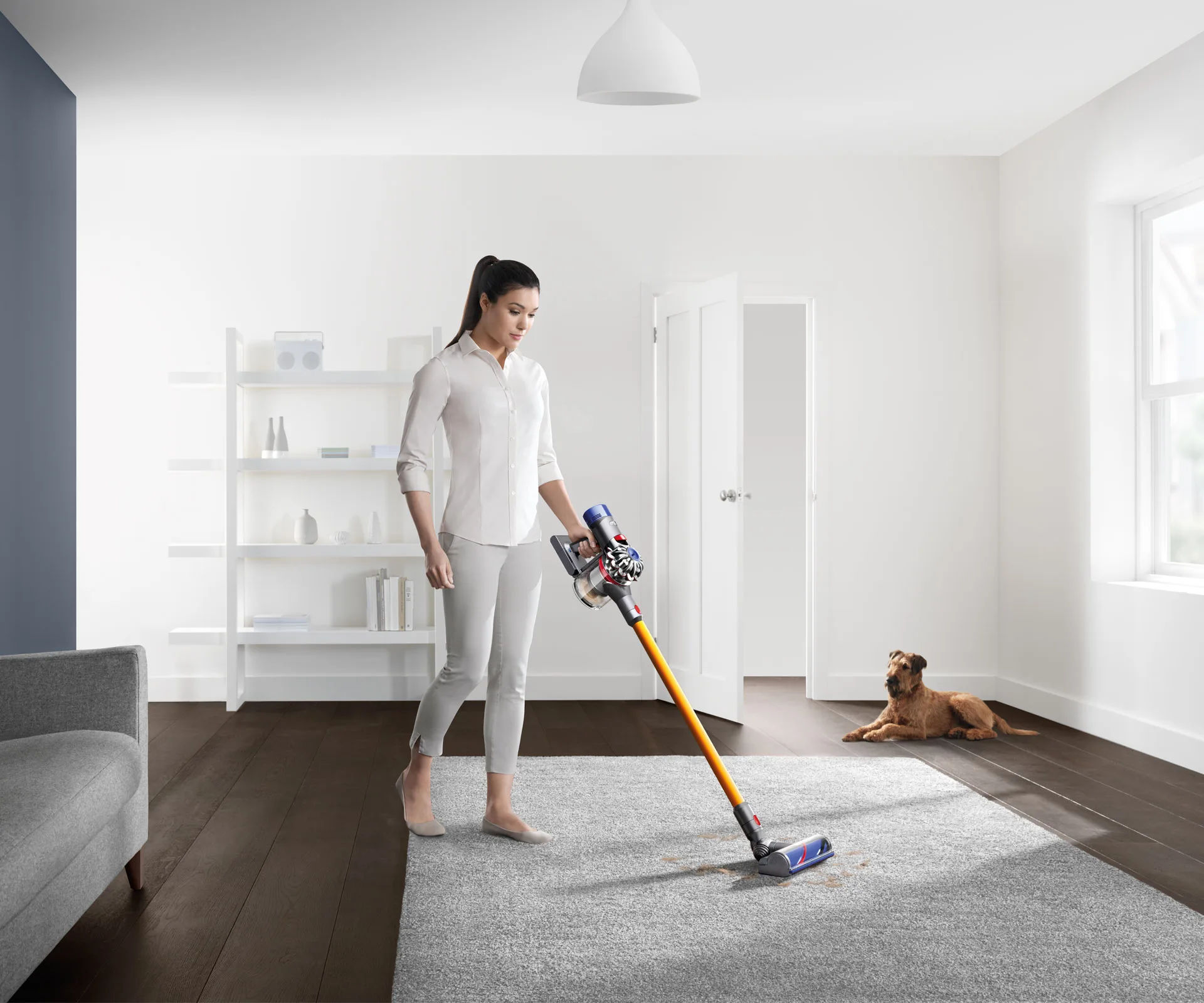 dyson-2