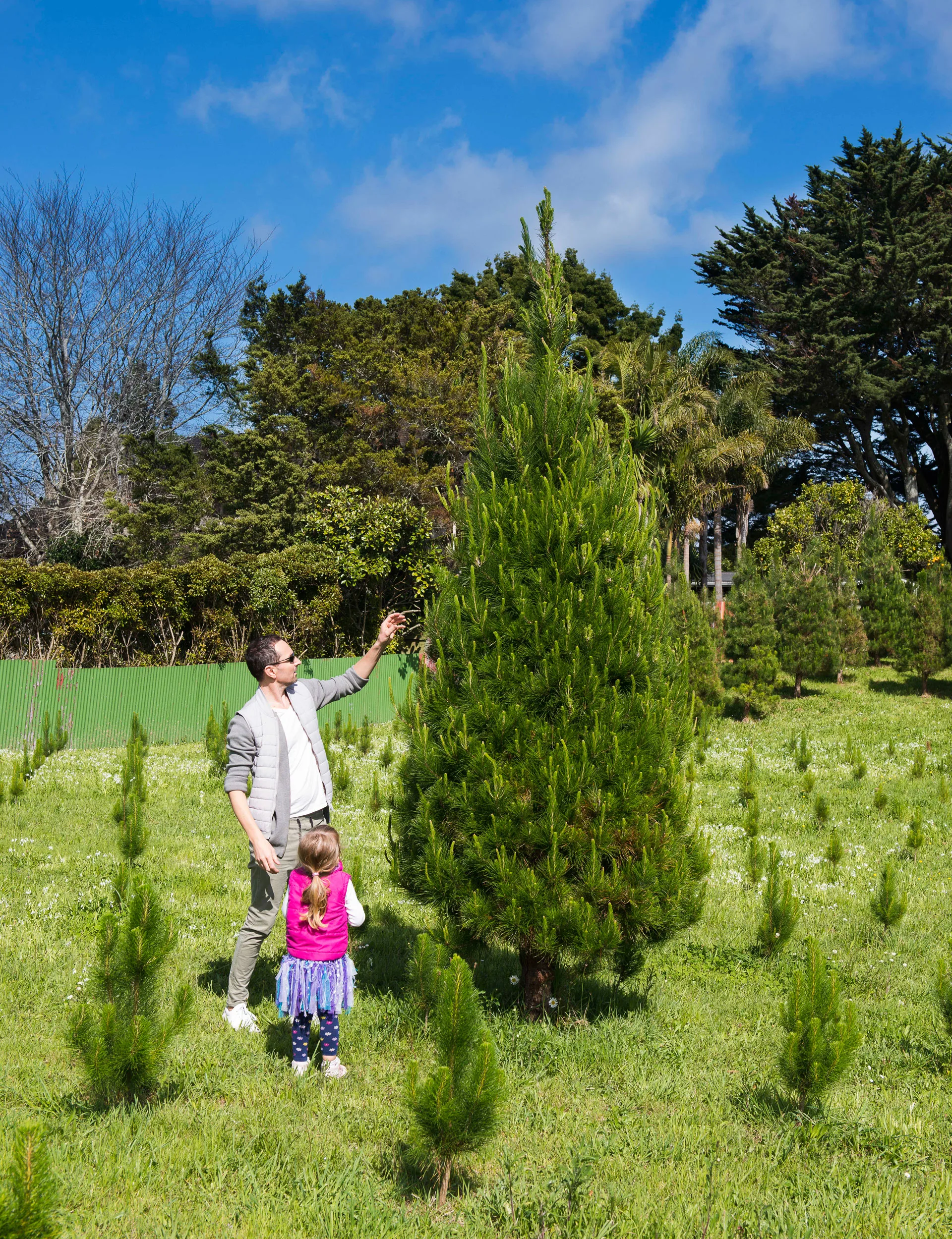 xmasTrees