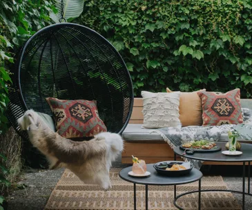 Alex Walls from The Block NZ creates the perfect outdoor nook