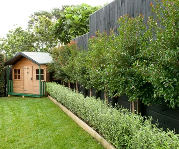 Helpful tips for keeping your garden and shed in order
