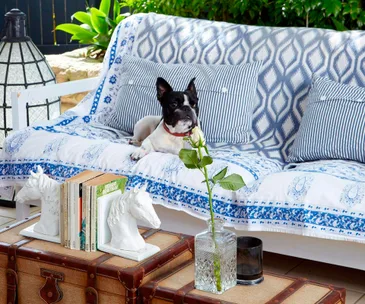 6 creative ways to make your home more pet-friendly