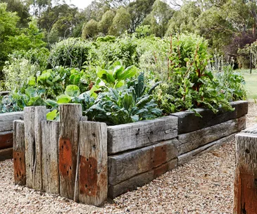 Your guide for what to harvest, plant and sow in February